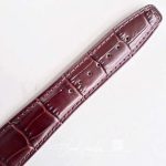 Replica Iwc Portugieser Iw545406 Zf Factory Brown Strap (9)