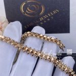 Cartier Clash De Cartier Bracelet Flexible Medium Model N6718717 (7)