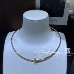 Cartier Juste Un Clou Collar Necklace Small Model Ref. B7224799 (1)