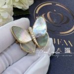 Van Cleef & Arpels Butterfly Clip Yellow Gold, Diamond, Mother Of Pearl Vcara64300 (5)