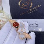 Van Cleef & Arpels Lucky Spring Clip Rose Gold, Carnelian, Mother Of Pearl, Onyx Vcarp7rs00 (4)