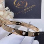 Cartier Love Bracelet, 10 Diamonds Rose Gold Ref. B6070217 (8)