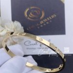 Cartier Love Bracelet, Small Model, 10 Diamonds Yellow Gold Ref. B6047817 (9)