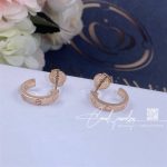 Cartier Love Earrings Rose Gold Ref. B8029000 (3)