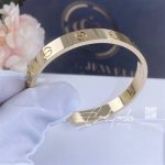 Cartier Love Bracelet, Yellow Gold Ref. B6032417 (3)