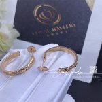 Cartier Love Earrings Rose Gold Ref. N8515192 (4)