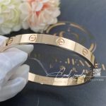 Cartier Love Bracelet Rose Gold Ref. B6035617 (5)