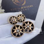 Dior Rose Des Vents Earring Pink Gold, Diamonds And Onyx (1)