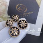 Dior Rose Des Vents Earring Pink Gold, Diamonds And Onyx (2)