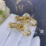 Tiffany Hardwear Link Earrings In Yellow Gold (3)