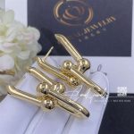 Tiffany Hardwear Large Link Earrings In Yellow Gold (4)