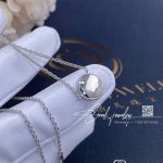 Dior Rose Des Vents Necklace 18k White Gold, Diamond And Mother Of Pearl Jrdv95023 (4)