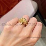 Boucheron Animaux De Collection Ring, Hans, The Hedgehog Ring Ref Jrg00630 (4)